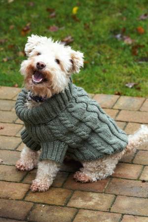 Knitted cable jumper for dogs with chunky roll-neck