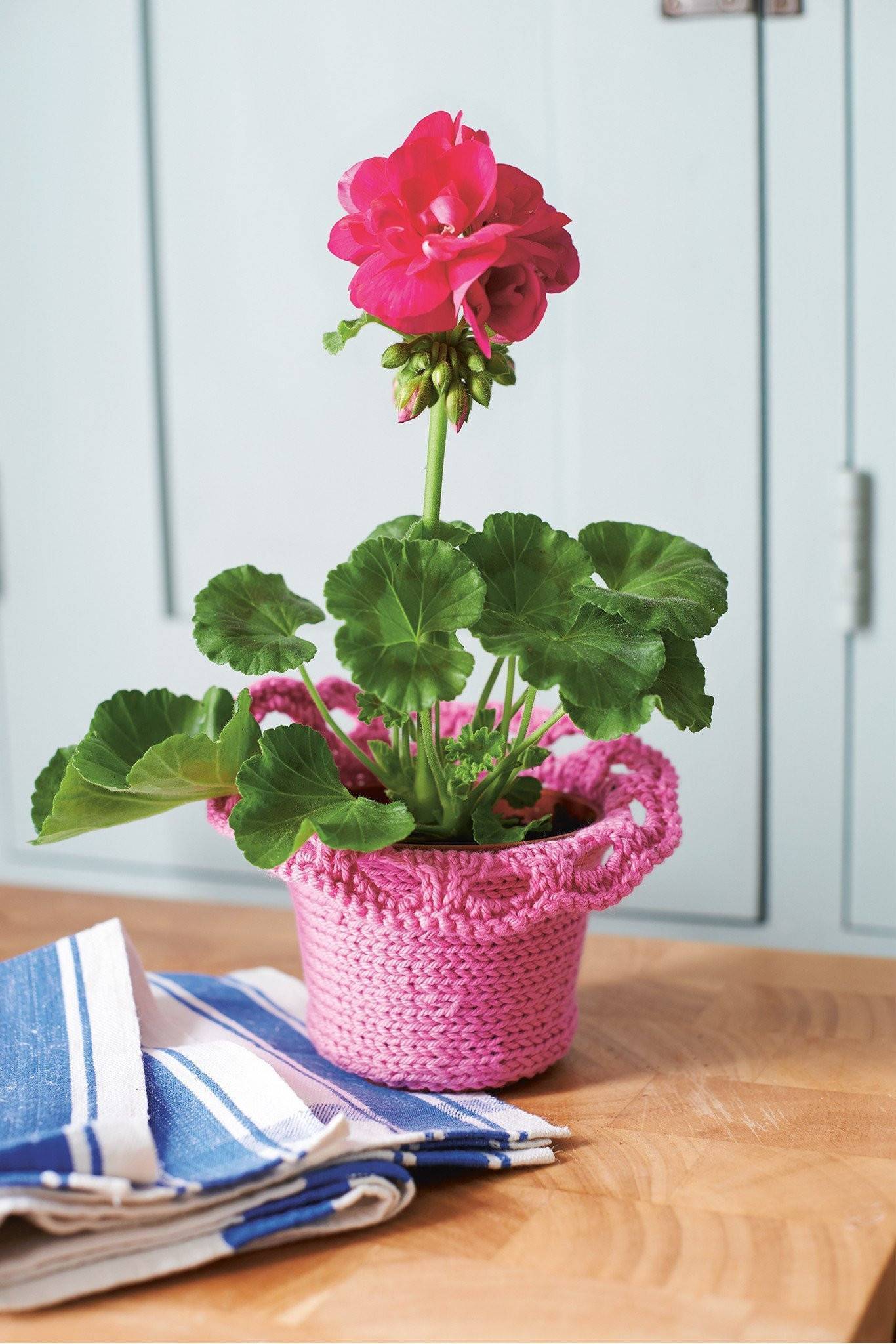 Plant Pot Cover Knitting Pattern The Knitting Network