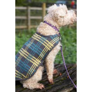 Knitted plaid dog coat for your stylish best friend