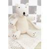 Baby Teddy Bear And Blanket Set Crochet Patterns