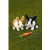 Amigurumi Dutch Rabbits Crochet Pattern
