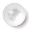 Milward Buttons - Size 10mm, Pearl White, Pack of 5