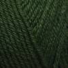 Sirdar Country Classic DK - Forest Green (867)