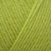 West Yorkshire Spinners ColourLab DK - Lime Green (198)