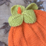 Emu Pumpkin Hat